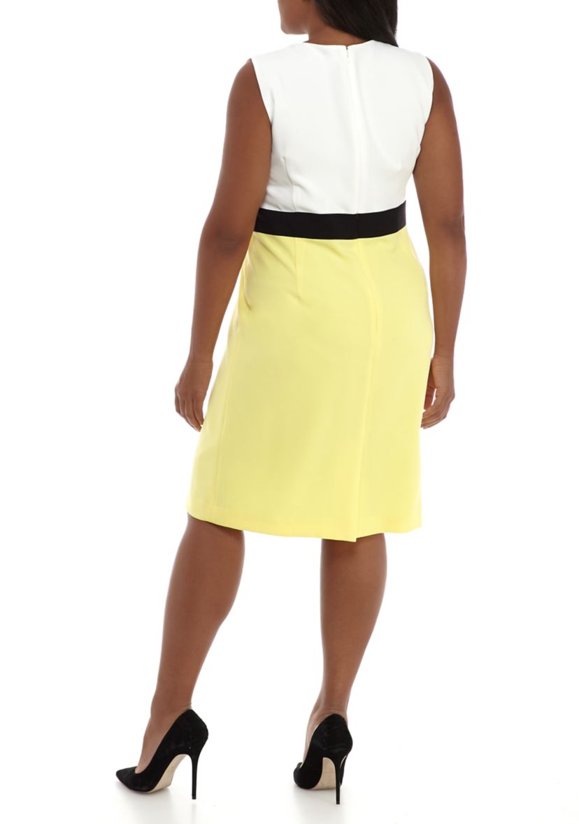 Plus Size Color Block Sheath Dress