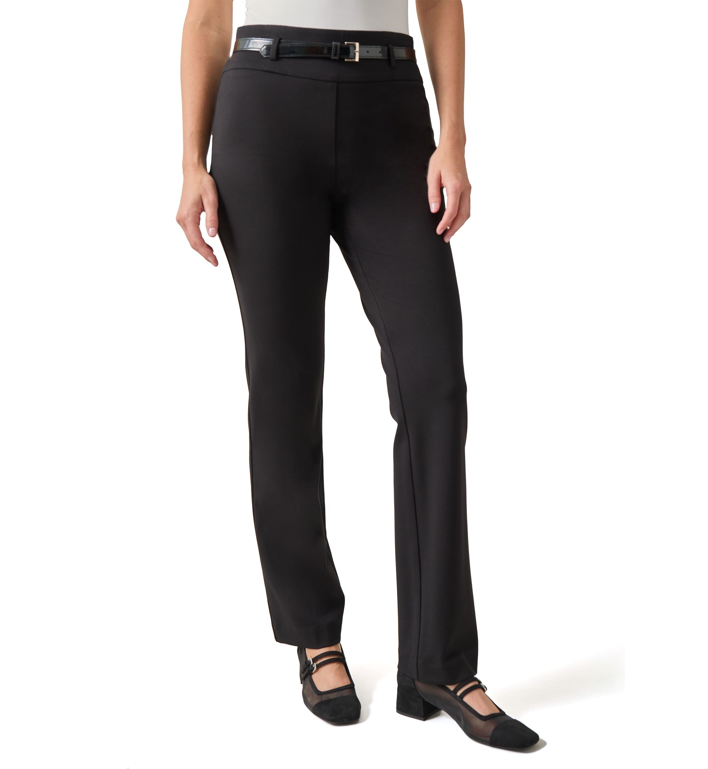 Petite High Rise Pull On Pants with Belt