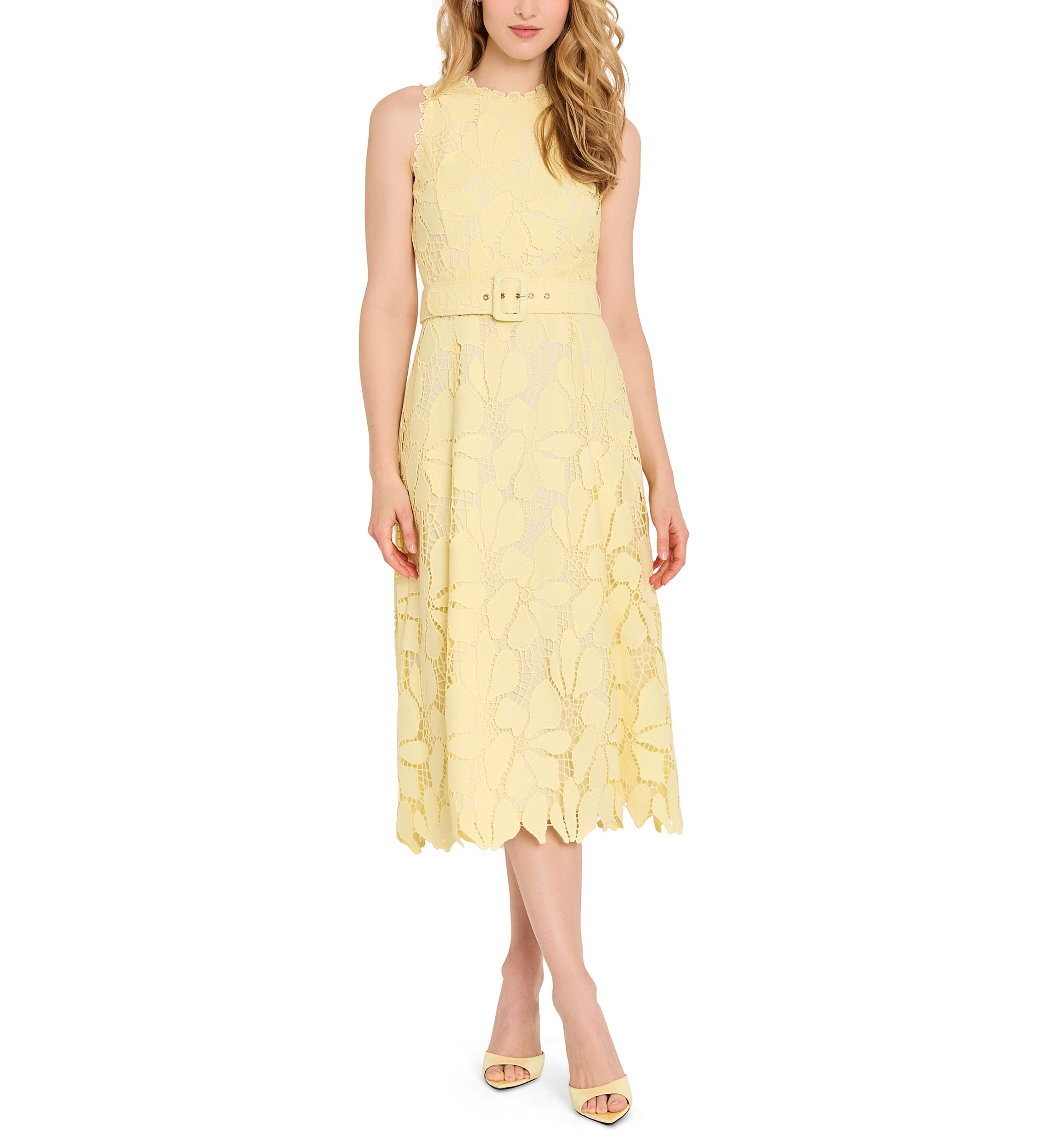 sachin and babi light blue dress ELIE TAHARI The Faye Embroidered Cotton Midi-dress
