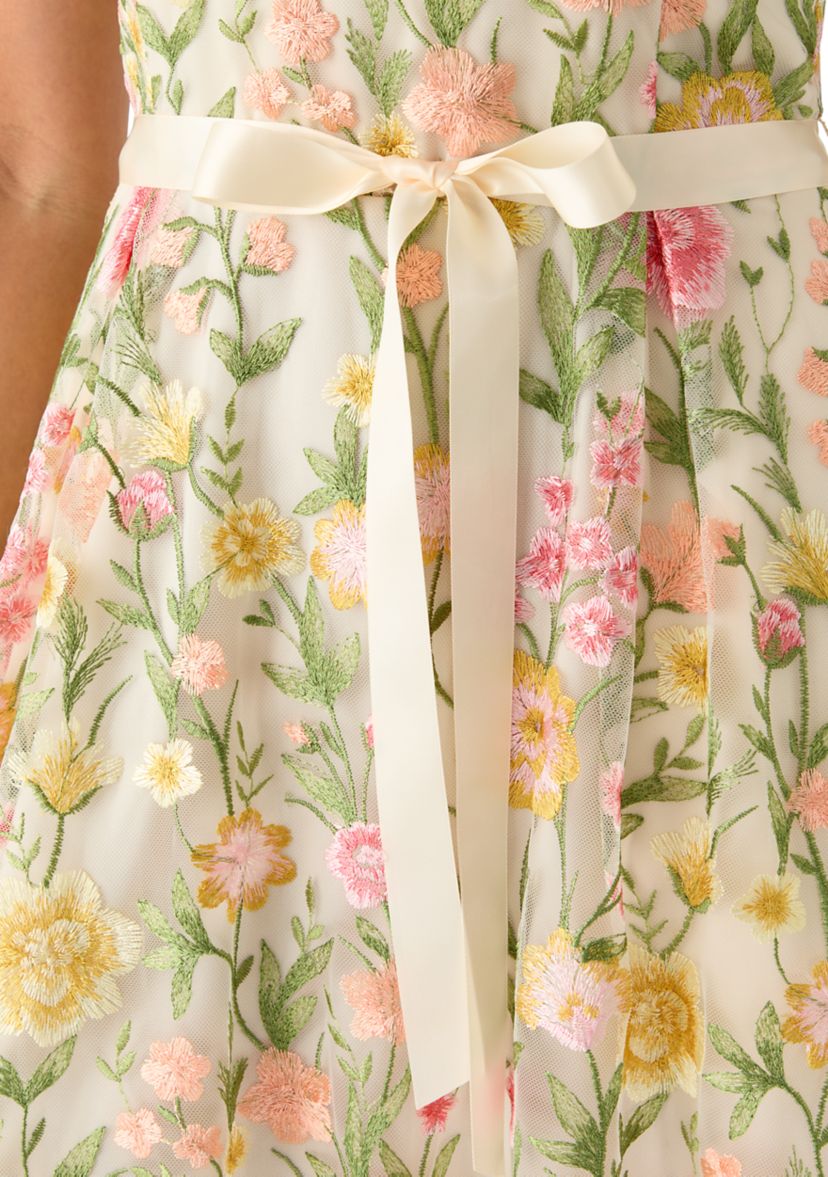 Tahari ASL Women's Sleeveless Floral Embroidered Dress | Belk