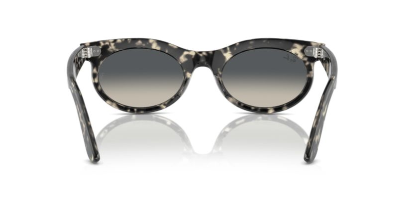 RB2242 Wayfarer Oval Sunglasses