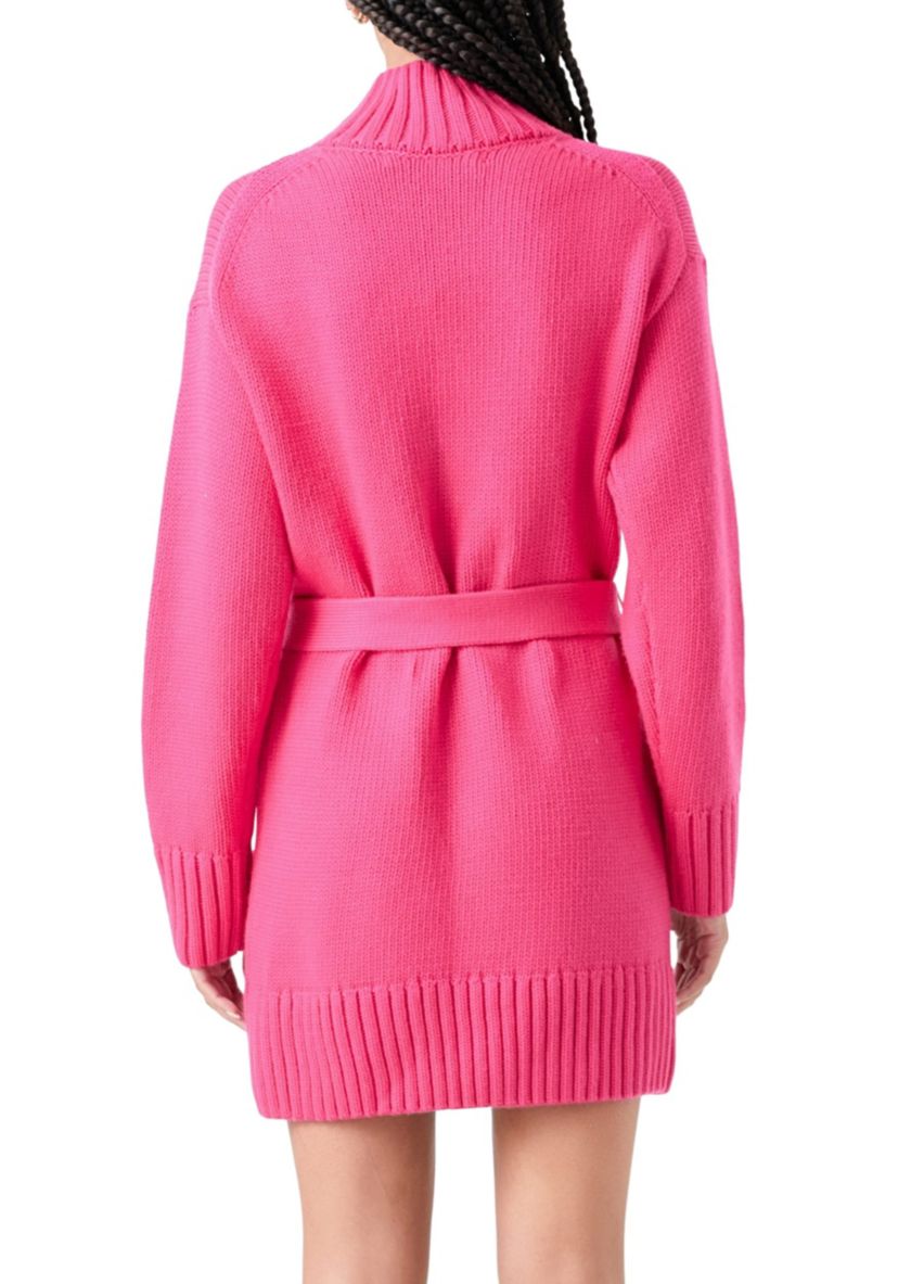 Turtle Neck Dress