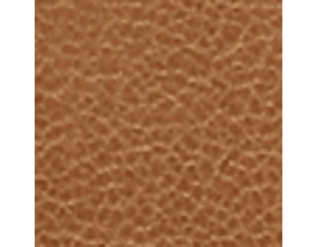 Desert Camel Brown