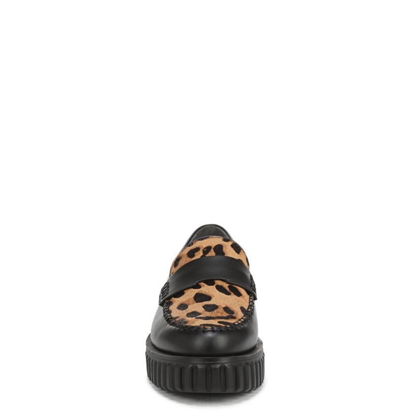 Franco Flexa Roma Loafer