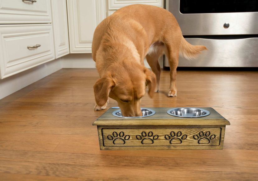 Sassy Paws Wooden Pet Double Diner with Stainless Steel Bowls - Antique Gray - Small