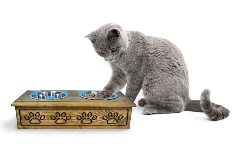 Sassy Paws Wooden Pet Double Diner with Stainless Steel Bowls - Antique Gray - Small