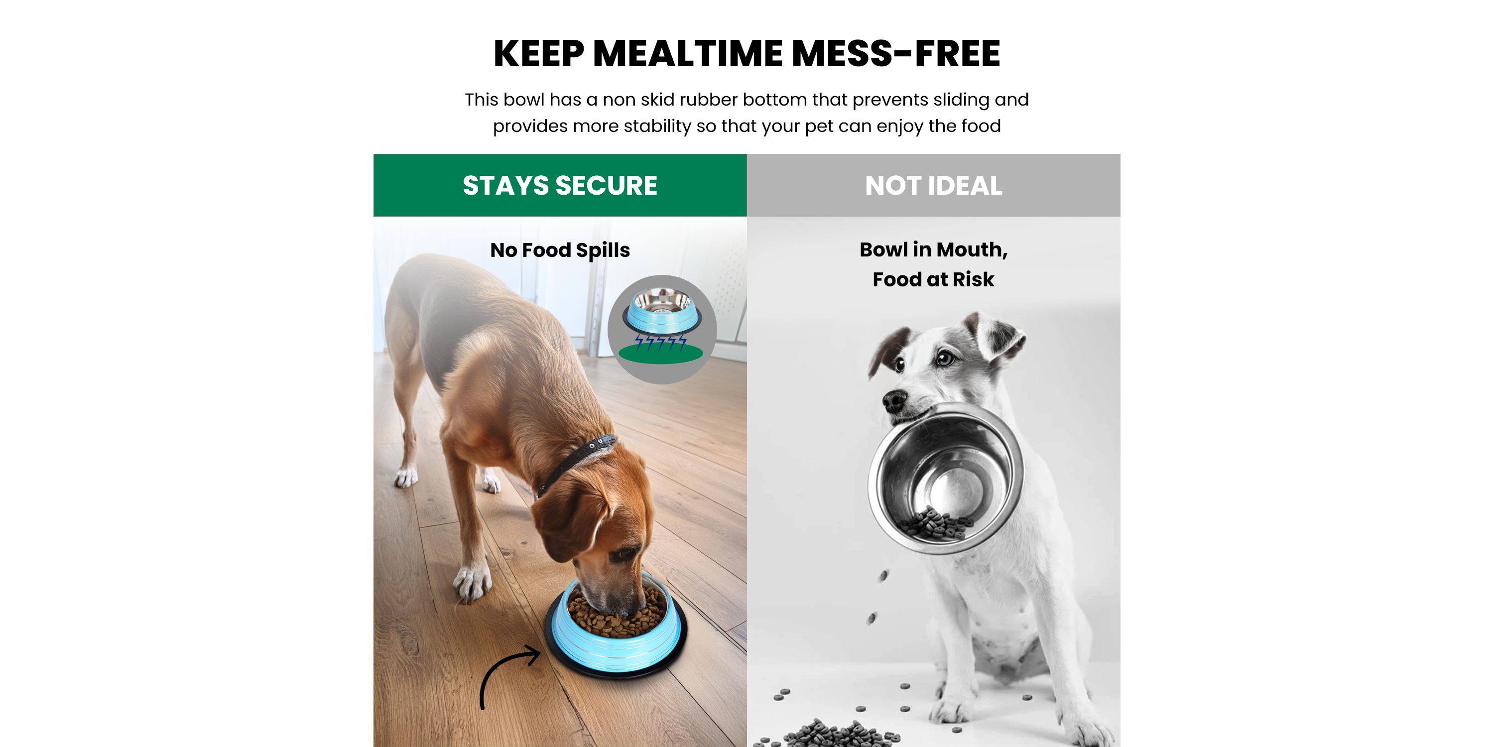 2 Pack Color Splash Stripe Non-Skid Pet Bowl for Dog or Cat - Blue - 64 oz - 8 cup