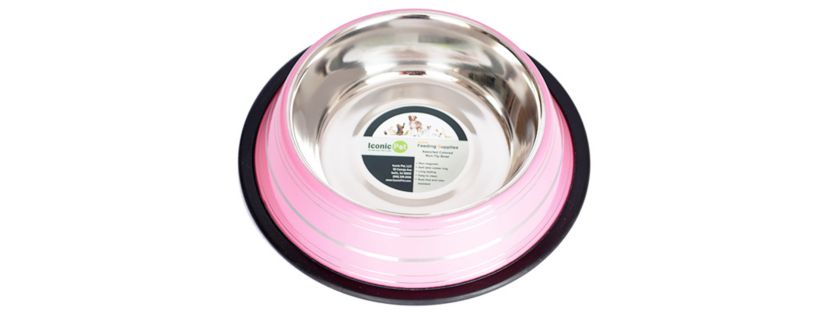2 Pack Color Splash Stripe Non-Skid Pet Bowl for Dog or Cat - Black - 16 oz - 2 cup