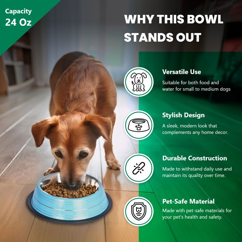 2 Pack Color Splash Stripe Non-Skid Pet Bowl for Dog or Cat - Green - 24 oz - 3 cup