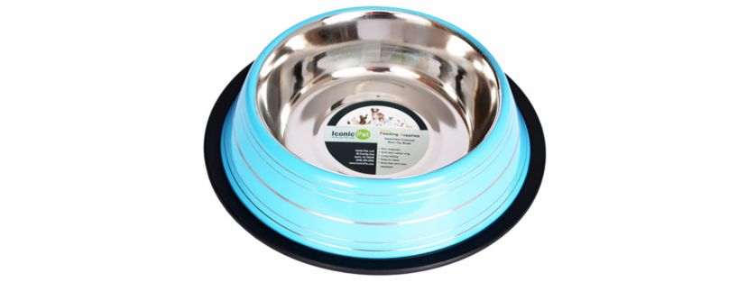 2 Pack Color Splash Stripe Non-Skid Pet Bowl for Dog or Cat - Green - 24 oz - 3 cup