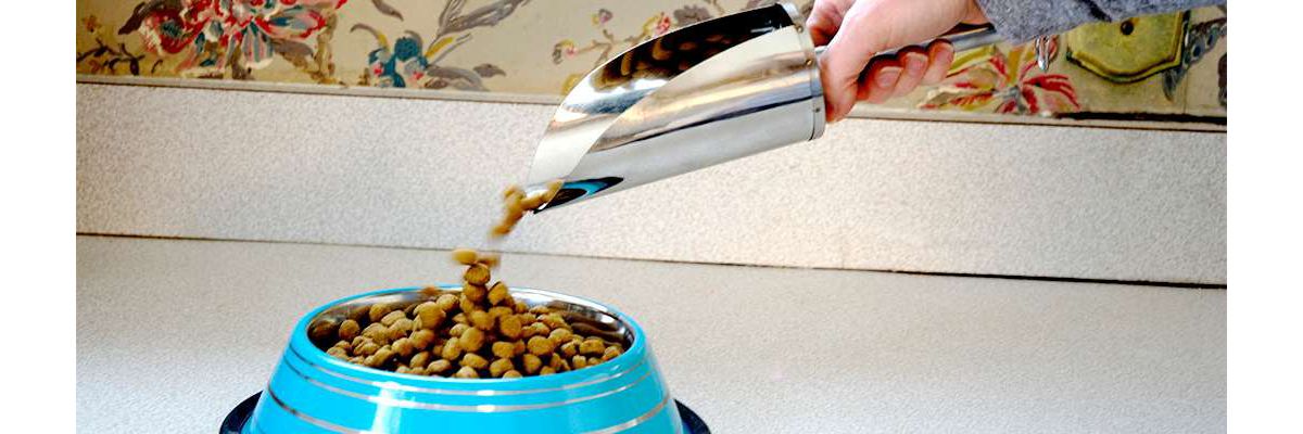 2 Pack Color Splash Stripe Non-Skid Pet Bowl for Dog or Cat - Blue - 32 oz - 4 cup