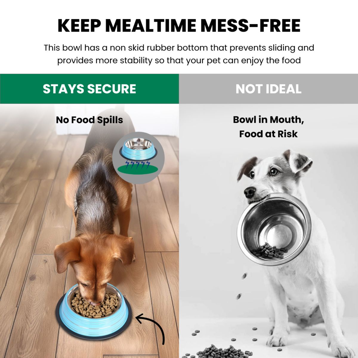 2 Pack Color Splash Stripe Non-Skid Pet Bowl for Dog or Cat - Blue - 32 oz - 4 cup