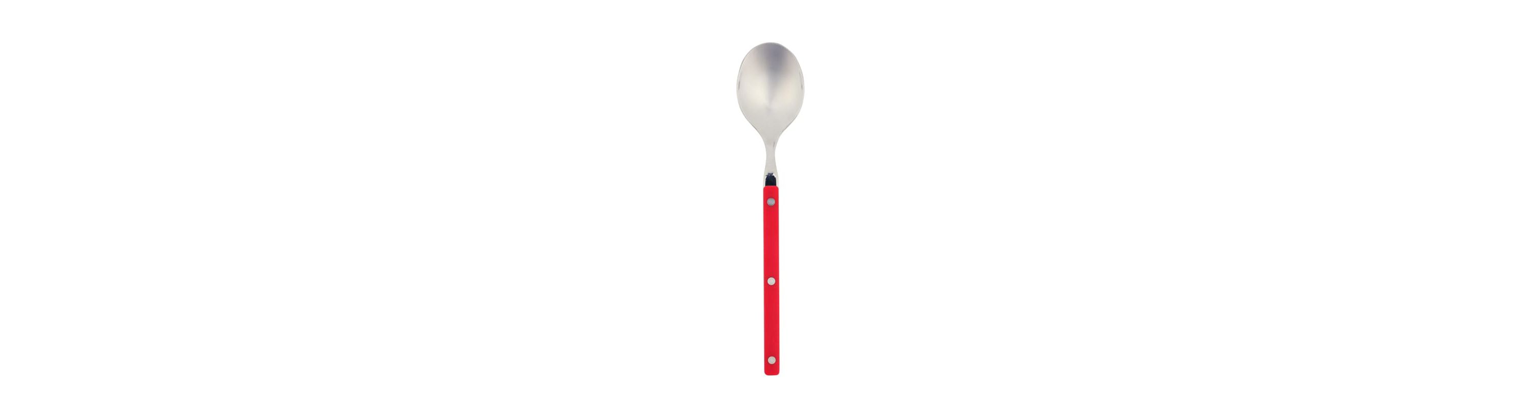 Pastello Place Spoon