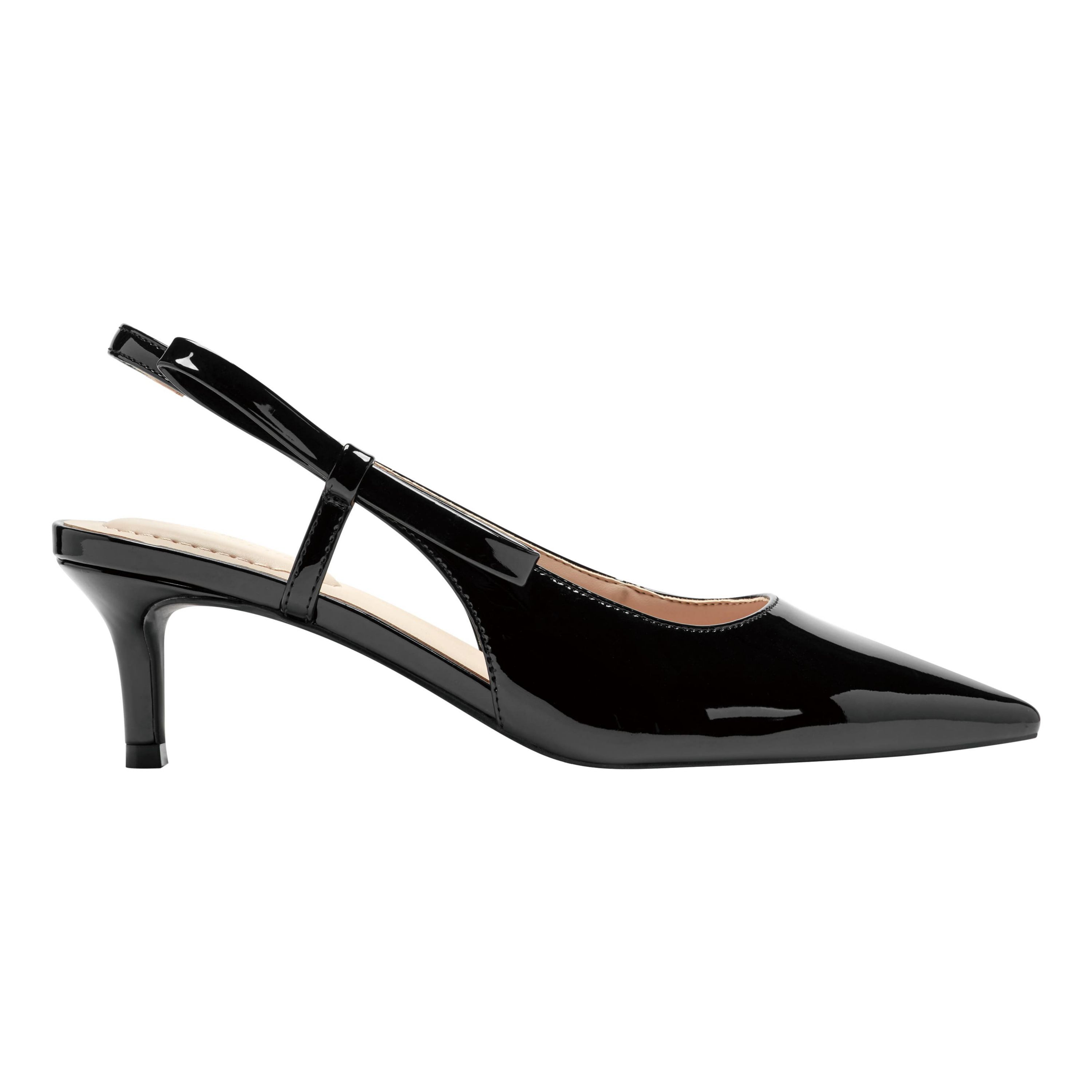 Alilac Pointy Toe Dress Slingback Pumps