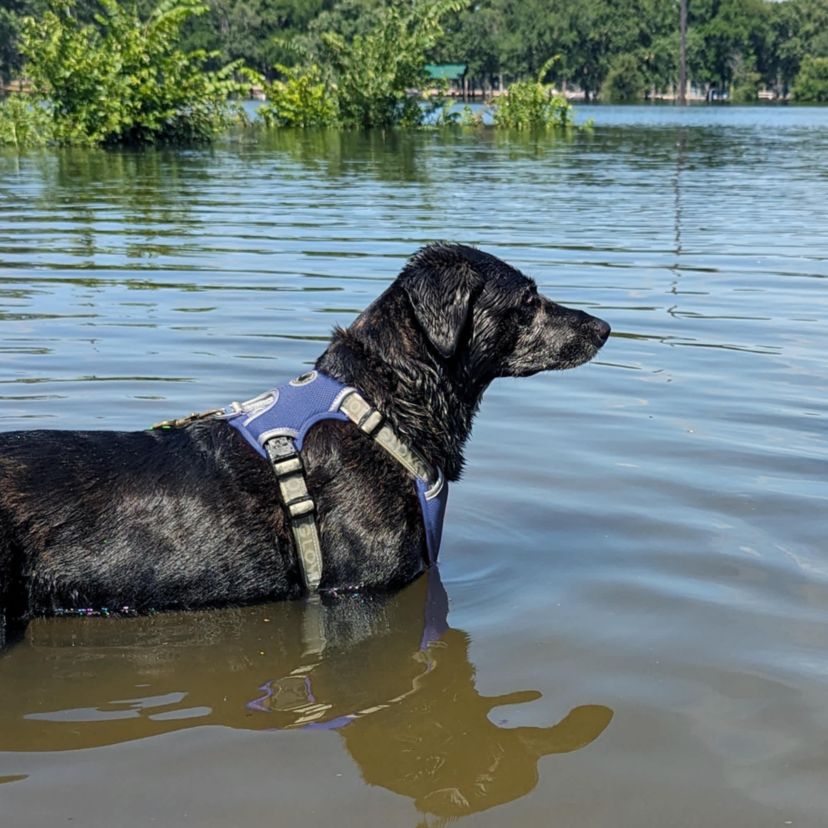 Body Glove Cooling Harness