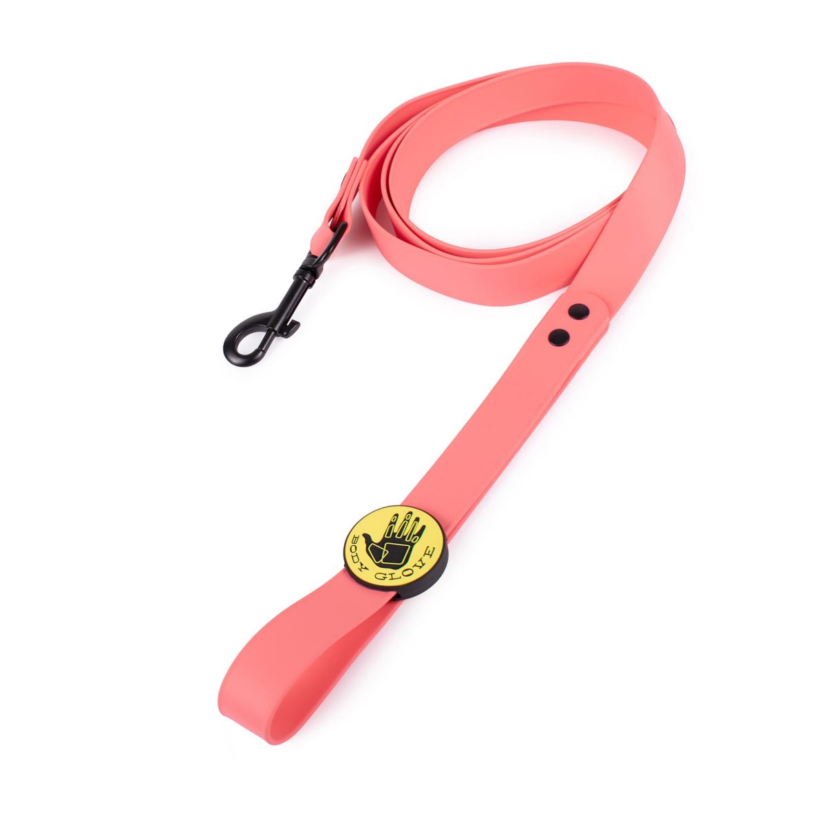 Biothane Leash