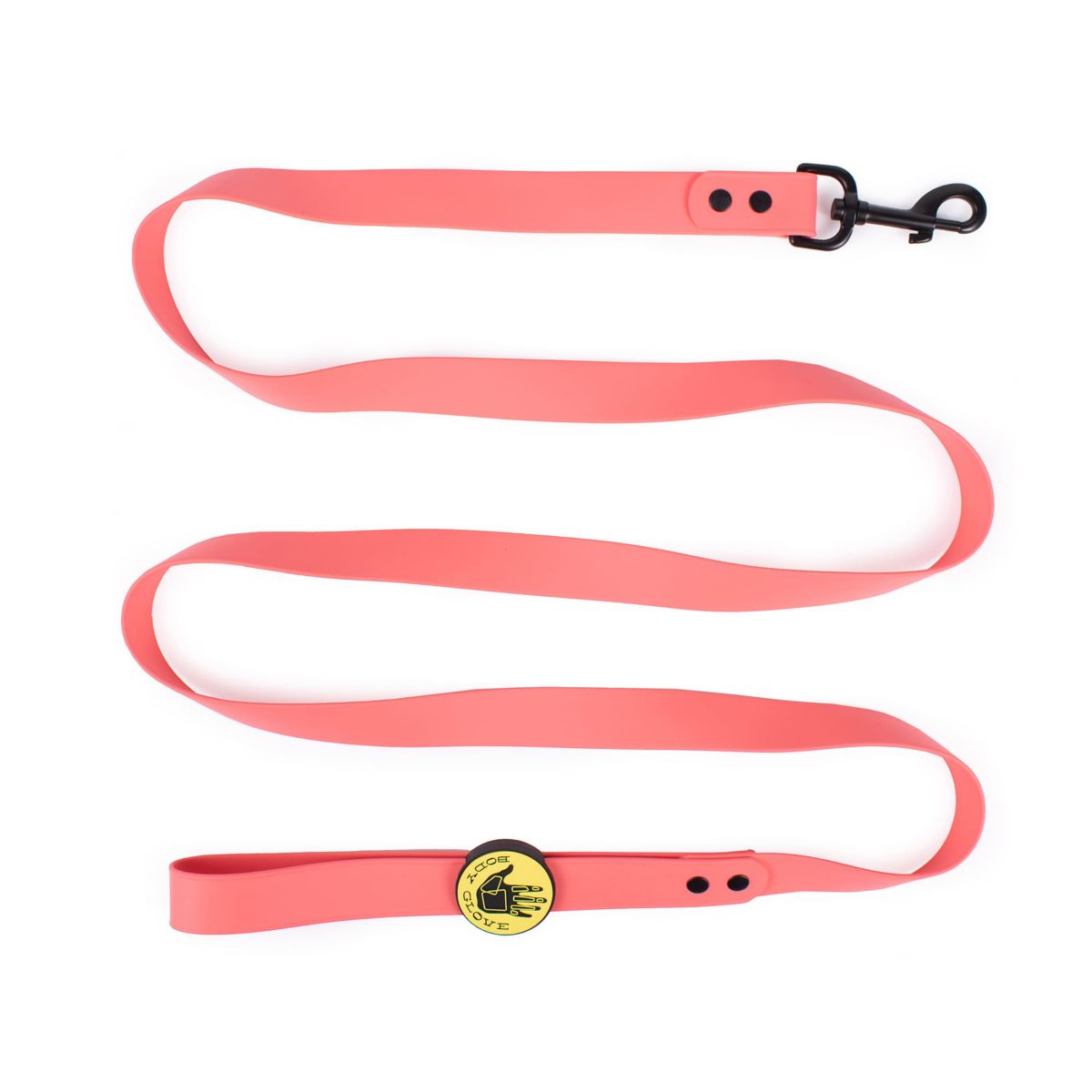 Biothane Leash
