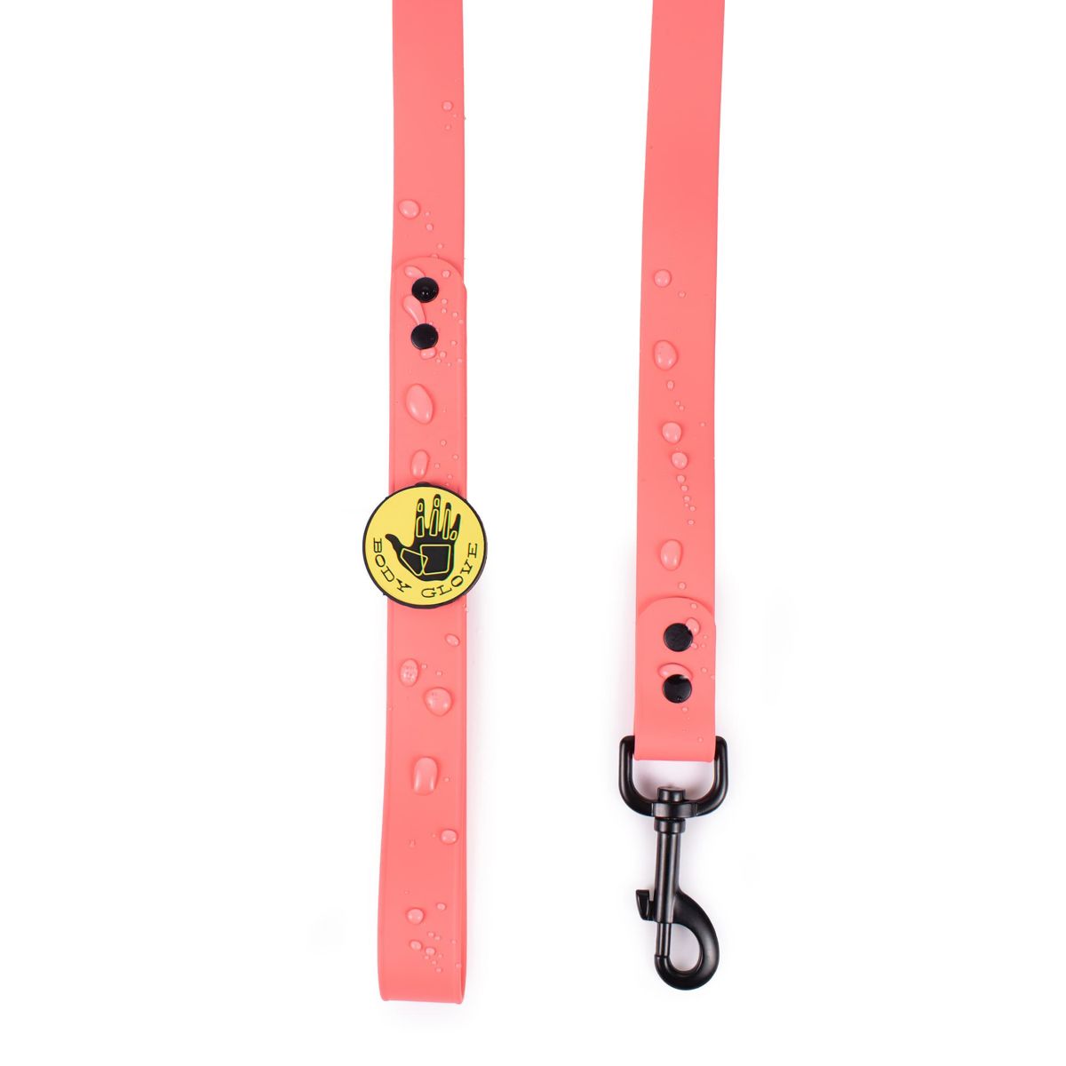 Biothane Leash