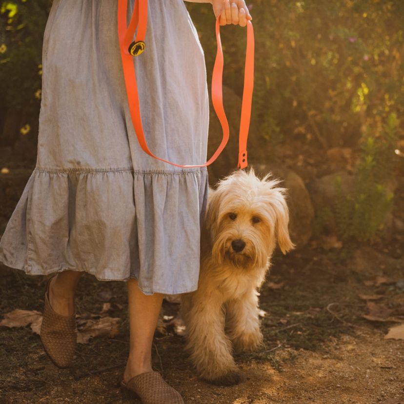 Body Glove Biothane Leash