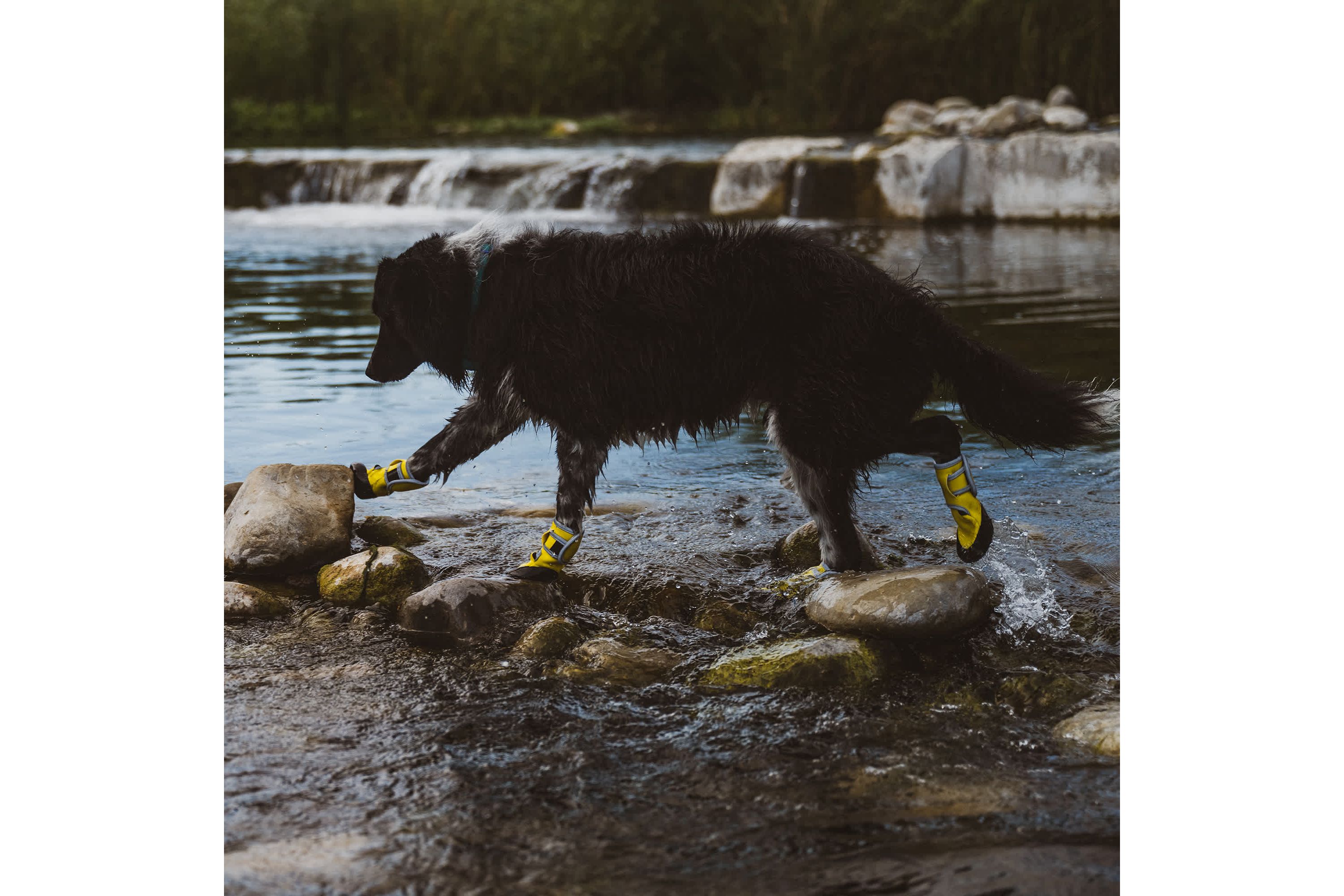 Body Glove Dog Booties