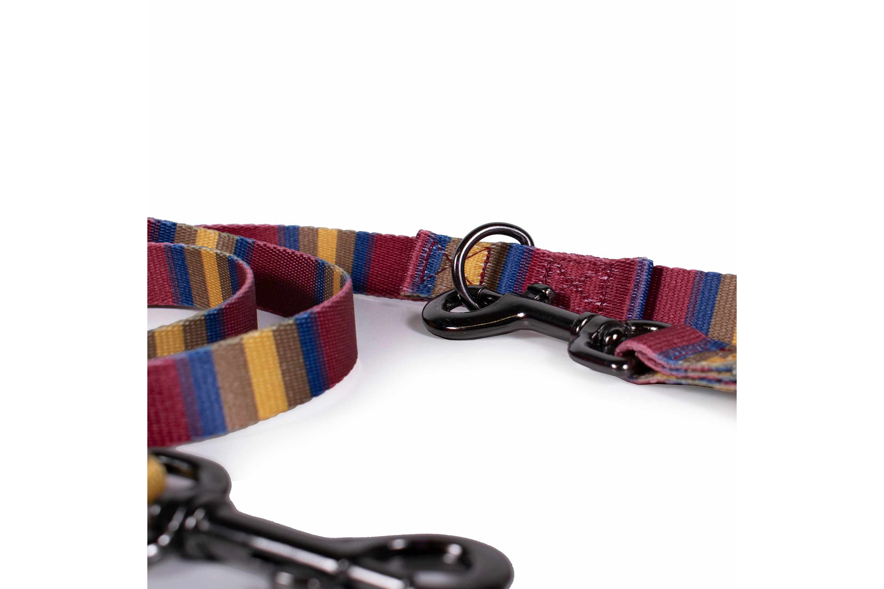 Pendleton National Park Adventure Leash