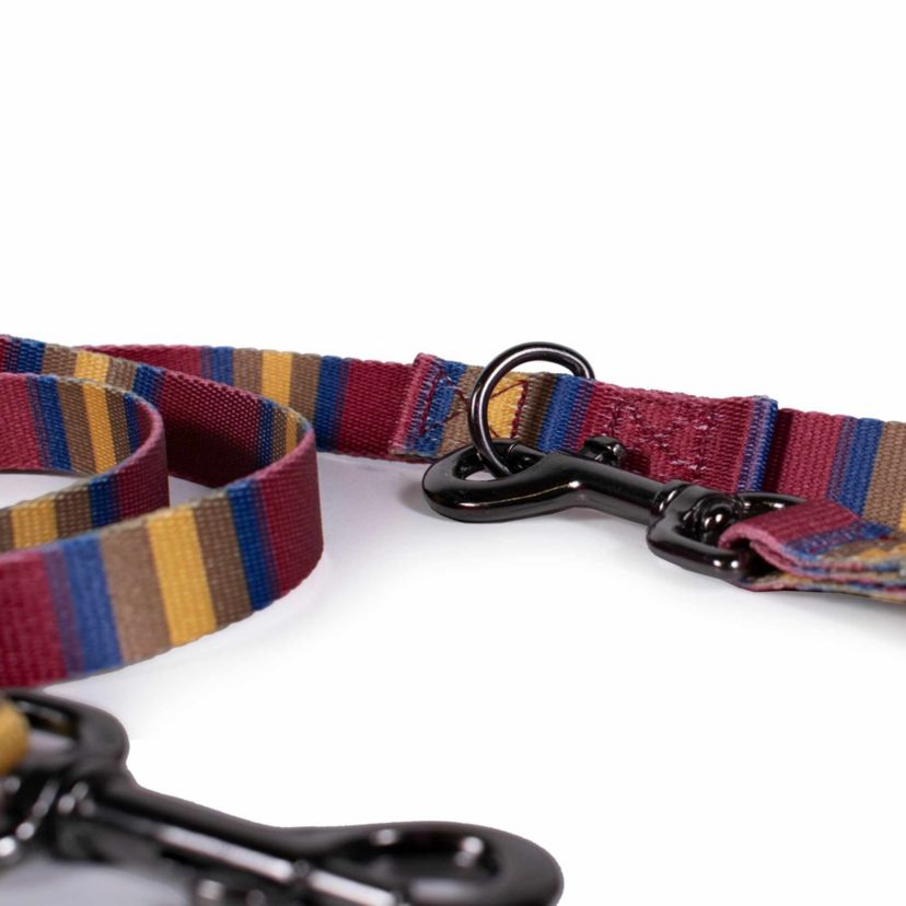 Pendleton National Park Adventure Leash