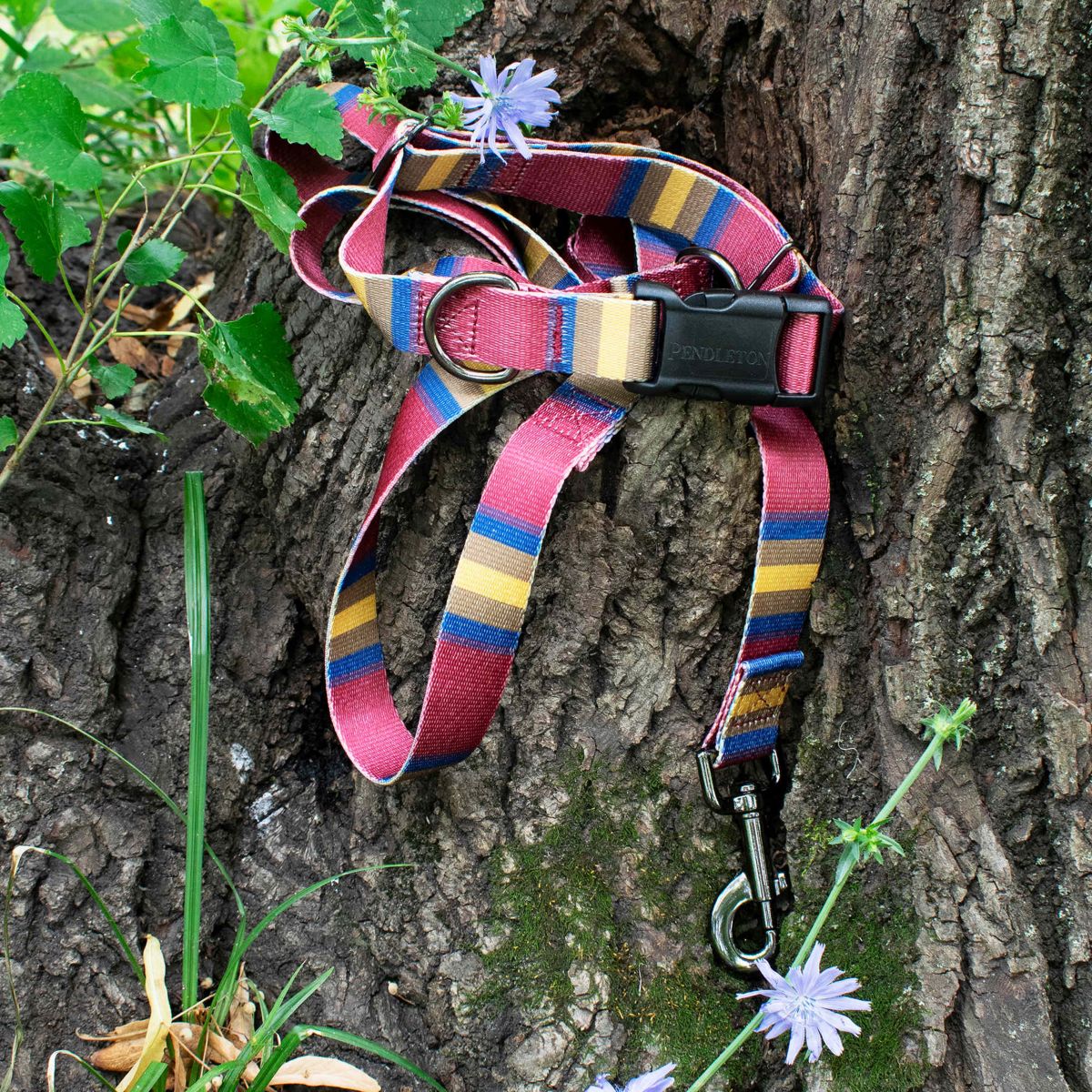 National Park Adventure Leash
