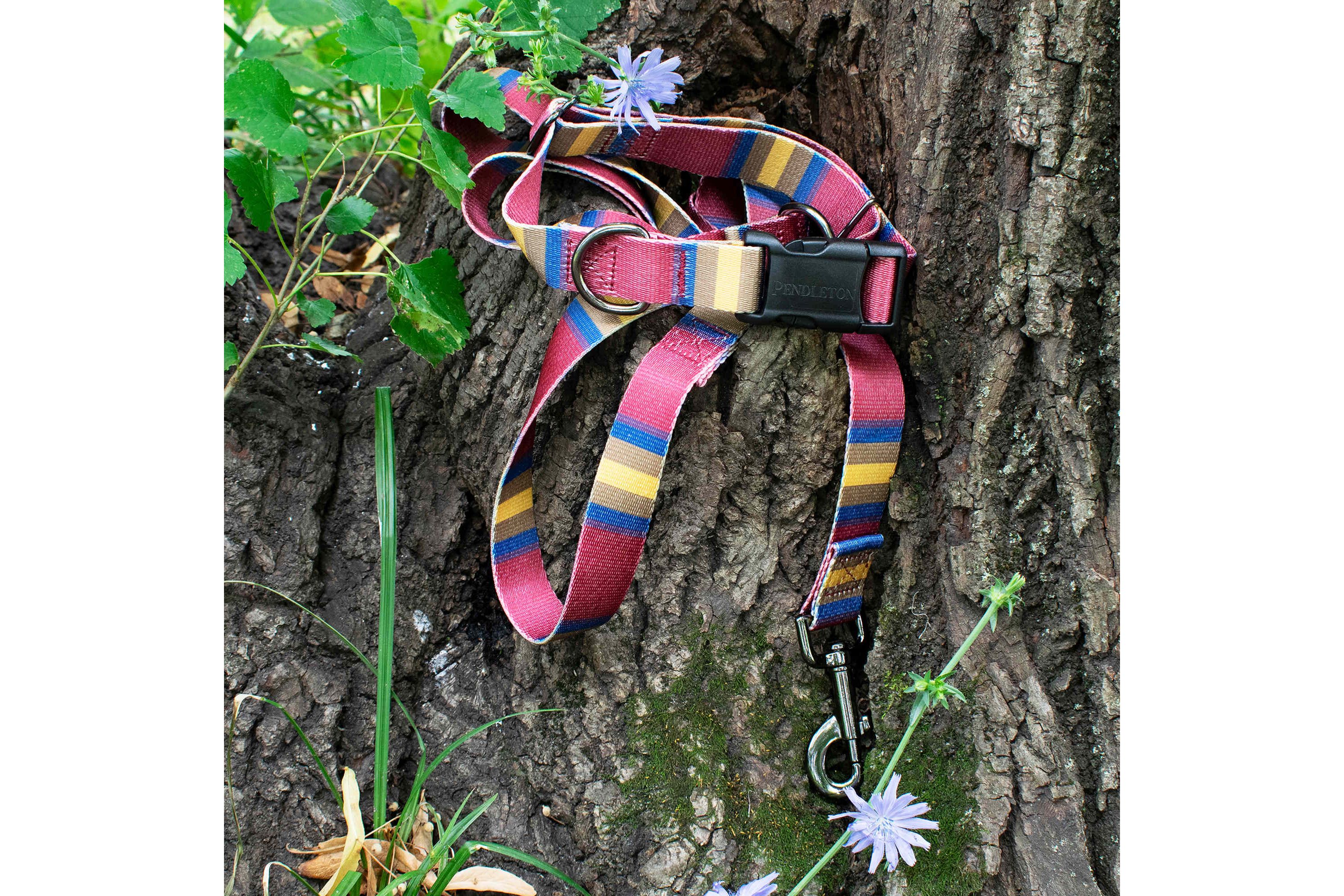 Pendleton National Park Adventure Leash