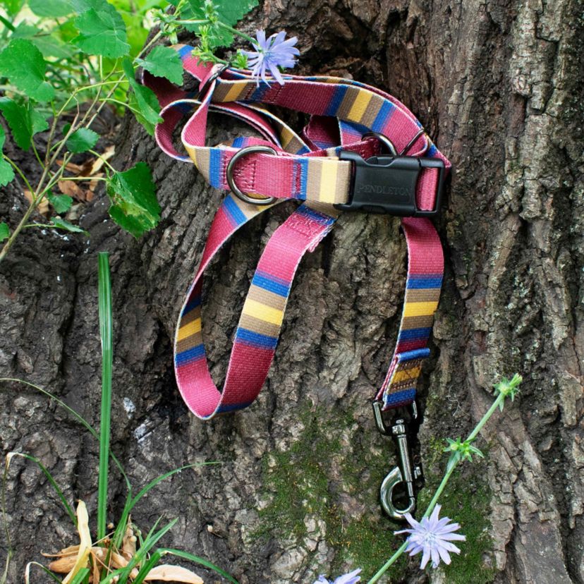 Pendleton National Park Adventure Leash