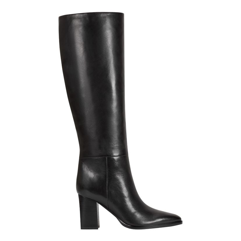 Perina Pointy Toe High Shaft Dress Boots