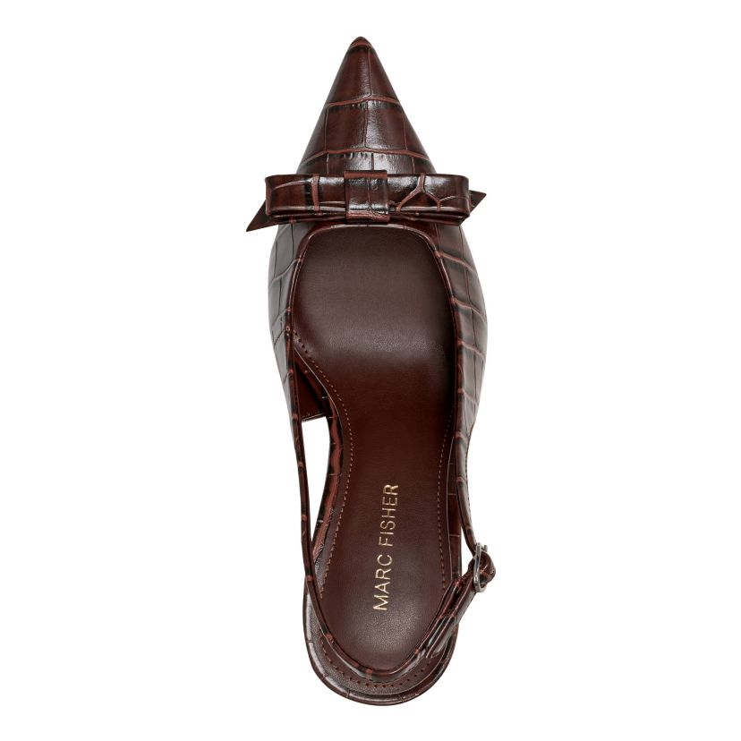 Rayma Slingback Pointy Toe Dress Pumps