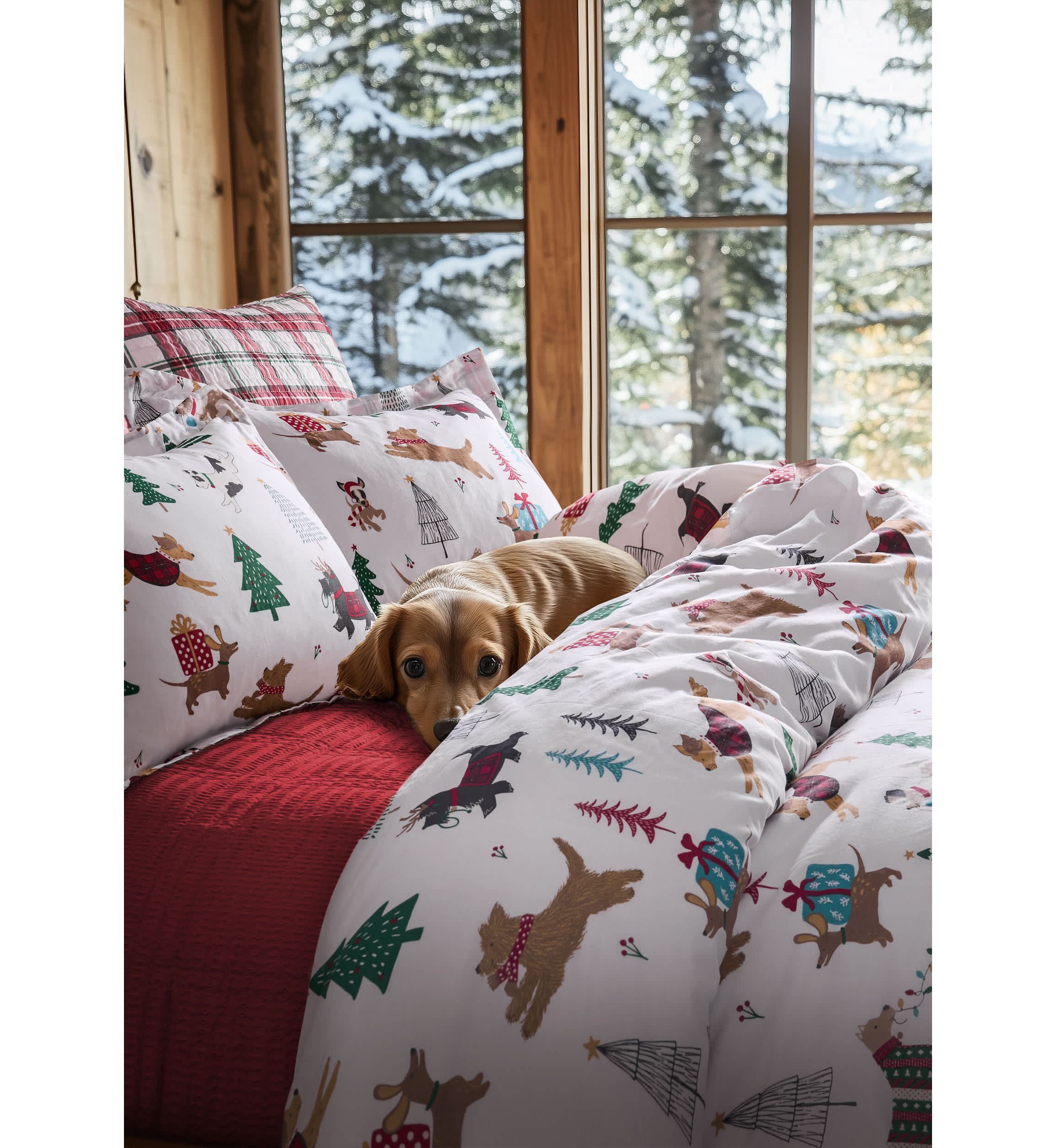 Jingle Paws Duvet Cover Set