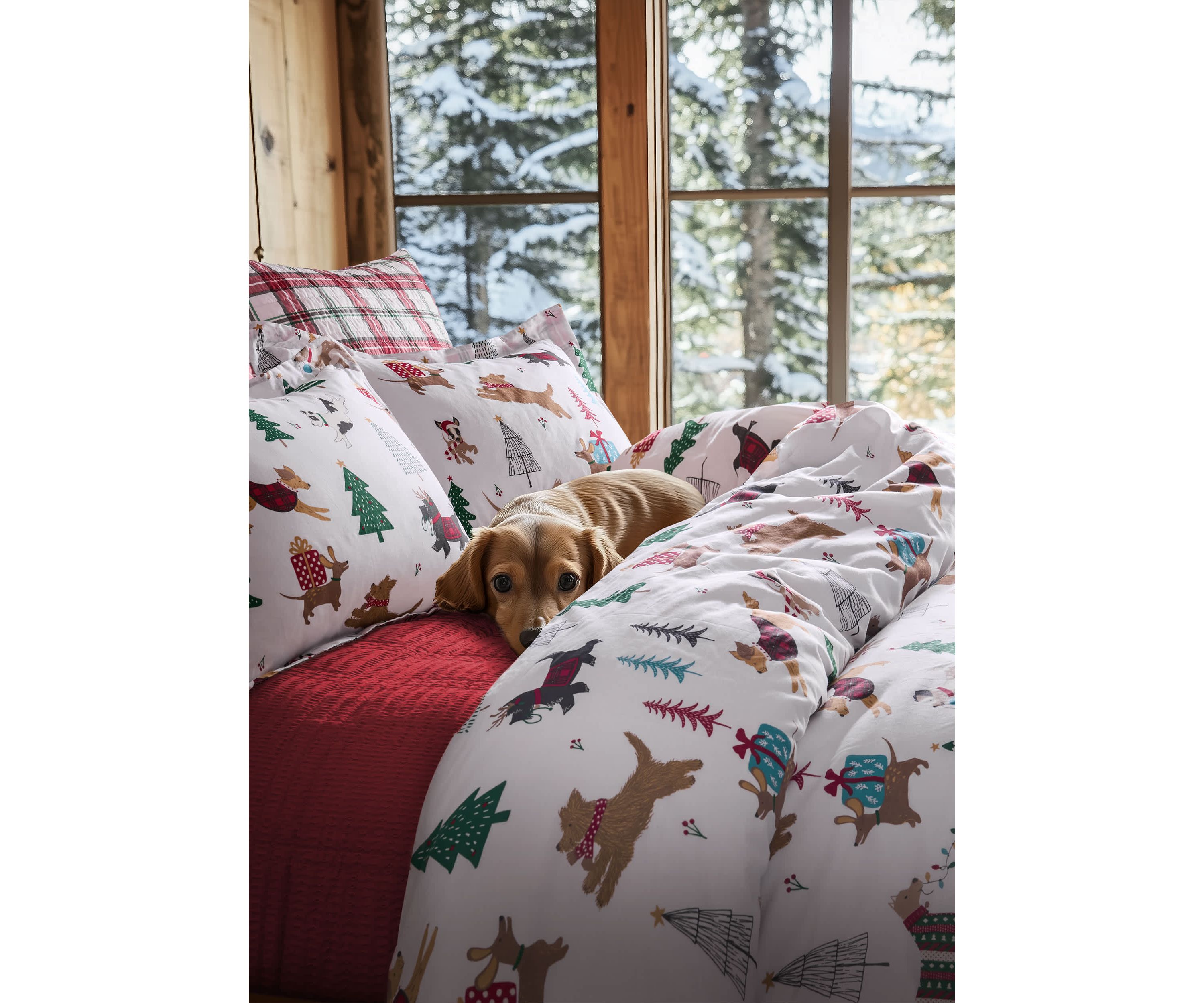Jingle Paws Duvet Cover Set