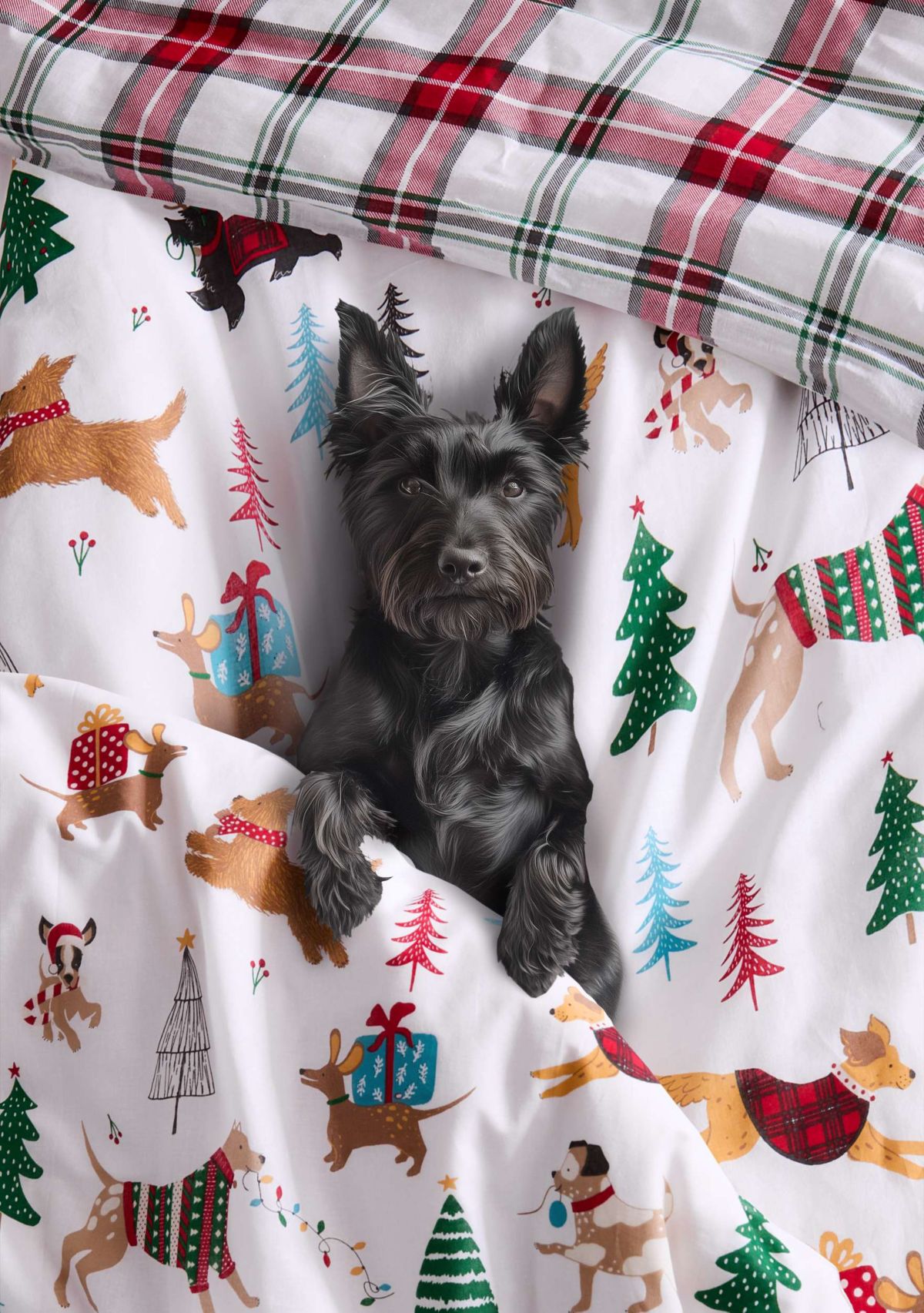 Jingle Paws Duvet Cover Set