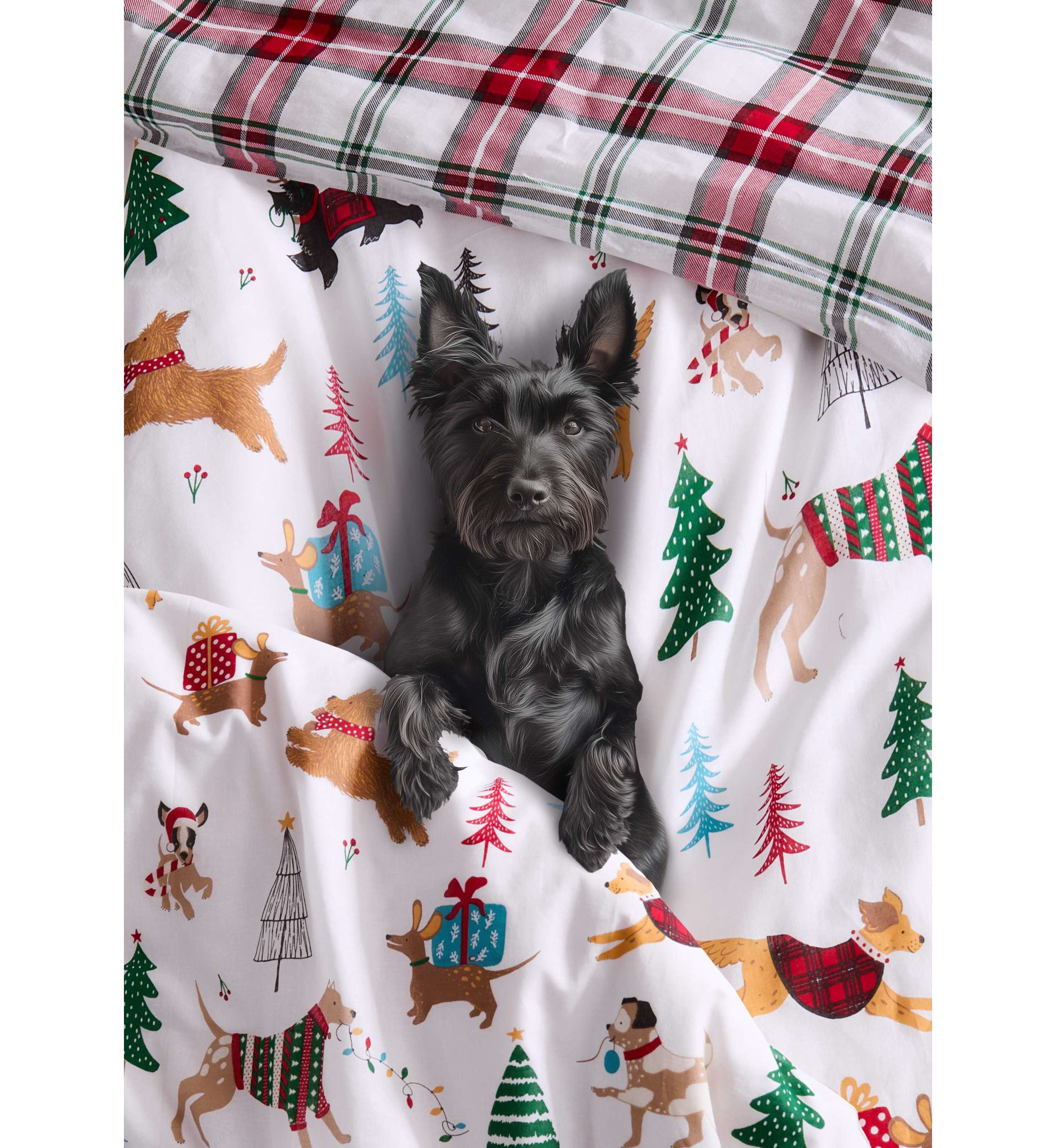 Jingle Paws Duvet Cover Set