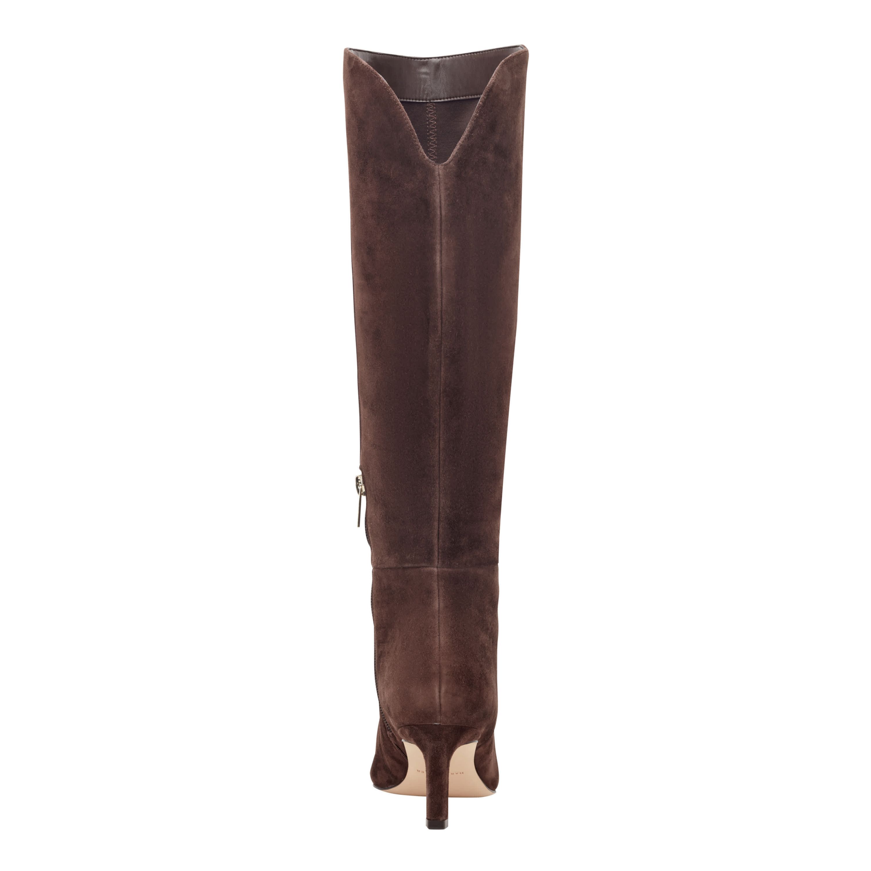 Esmee Stiletto Pointy Toe Dress Boots