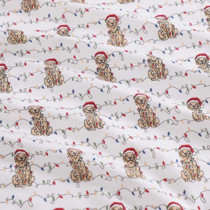 Wrapped Up Cotton Sheet Set