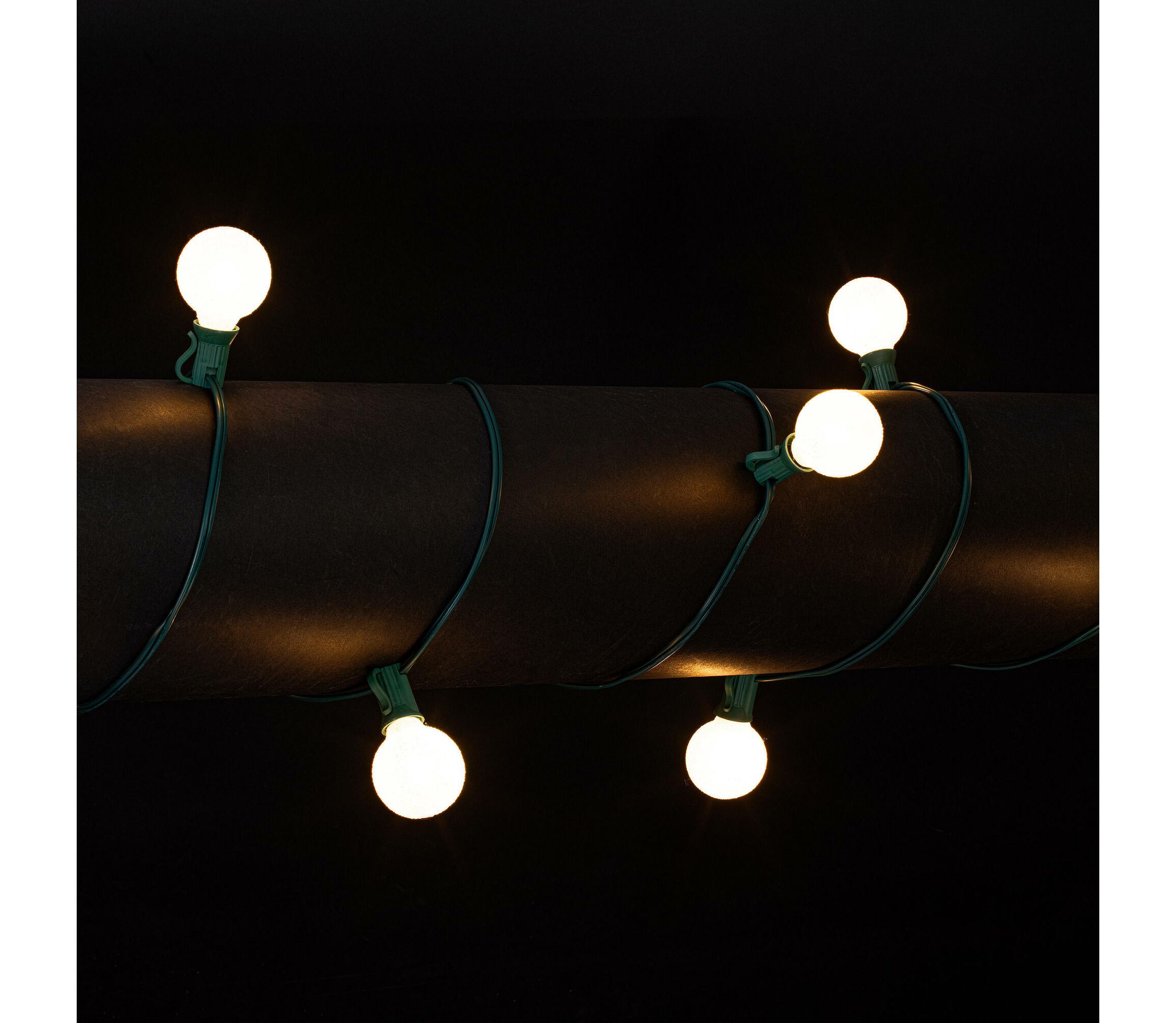 Vickerman 12 Lights x 12 Pure White LED Iced G40 light set. 12" spacing on green wire.