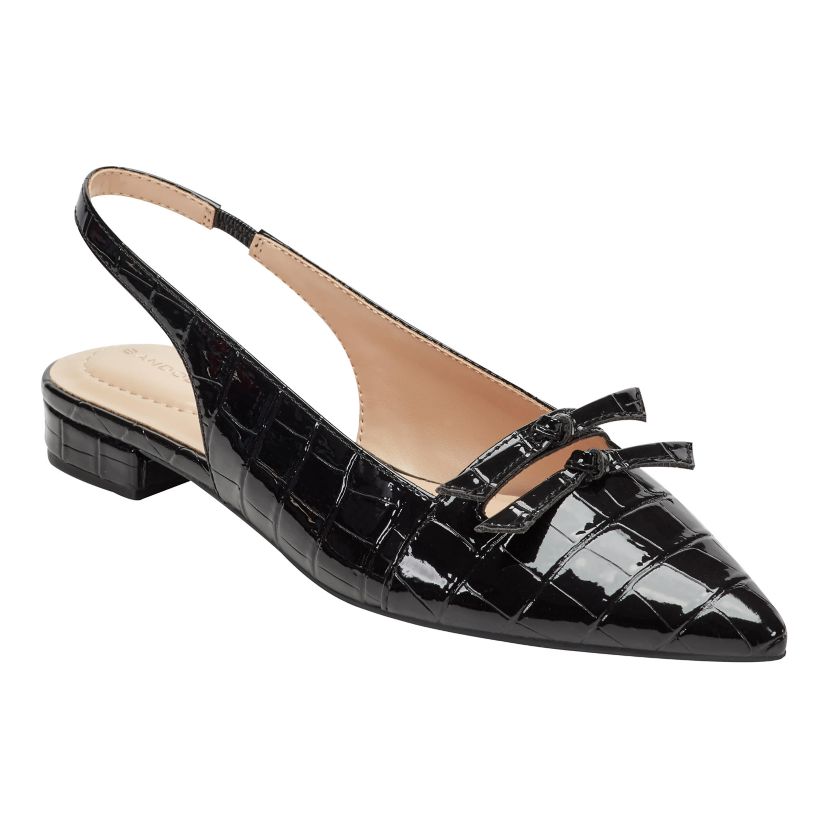 Aleeza Pointy Toe Slingback Dress Flats