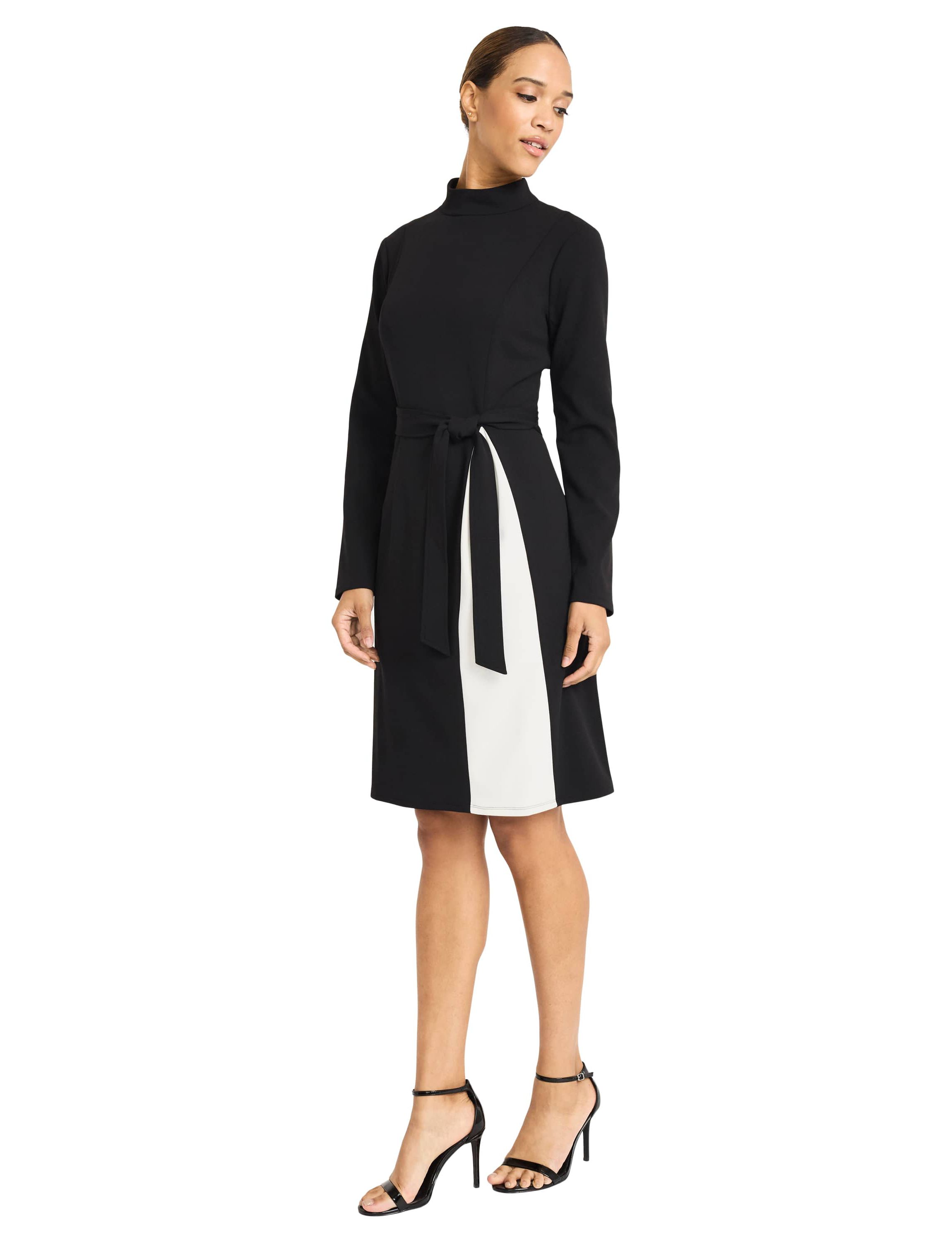 Colorblock Fit & Flare Dress