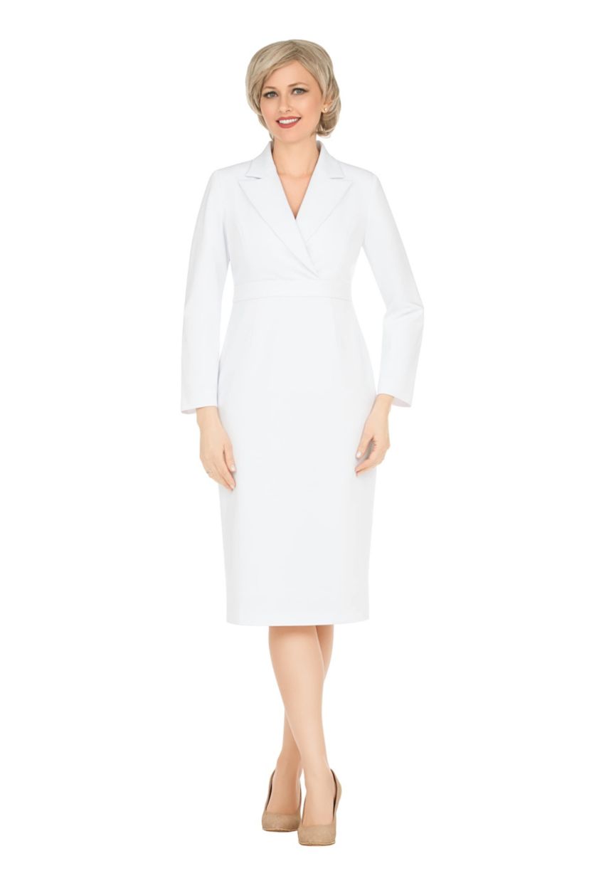 Notch Collar Long Sleeve Waisted Sheath Dress
