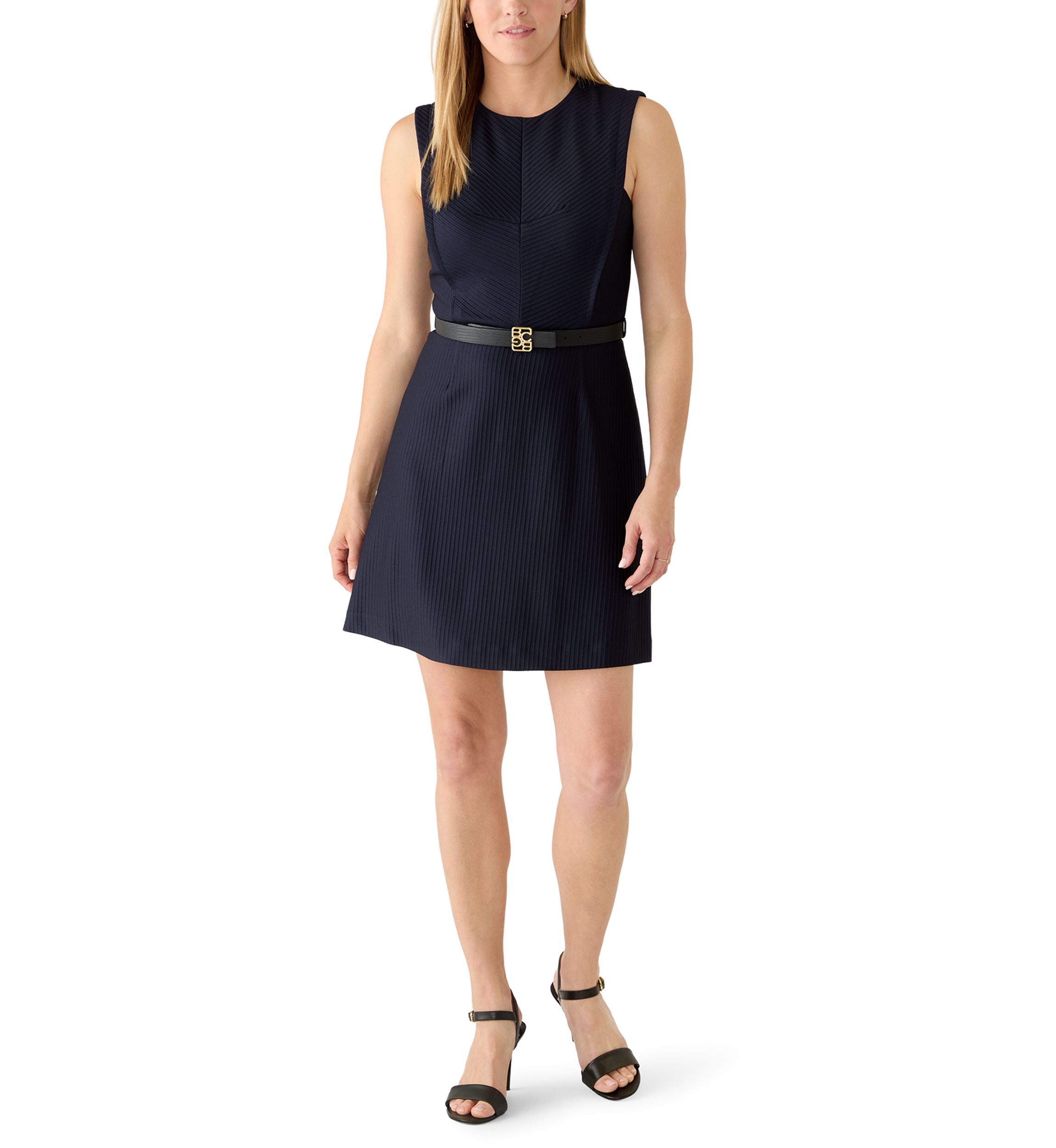 BCBG Fit And Flare Dress