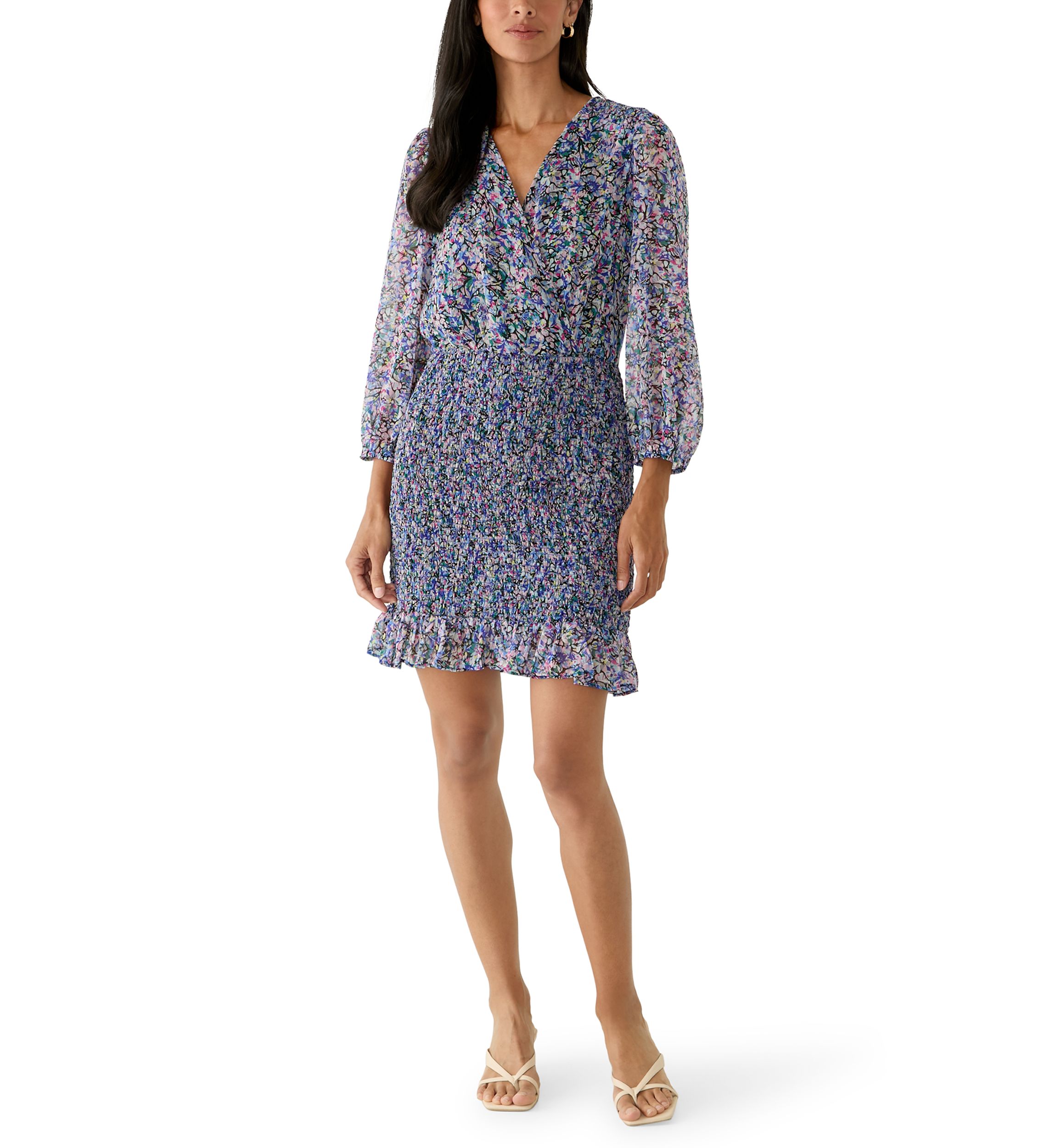 BCBG Women's Long Sleeve Printed Chiffon Bodycon Dress, Blue, 12