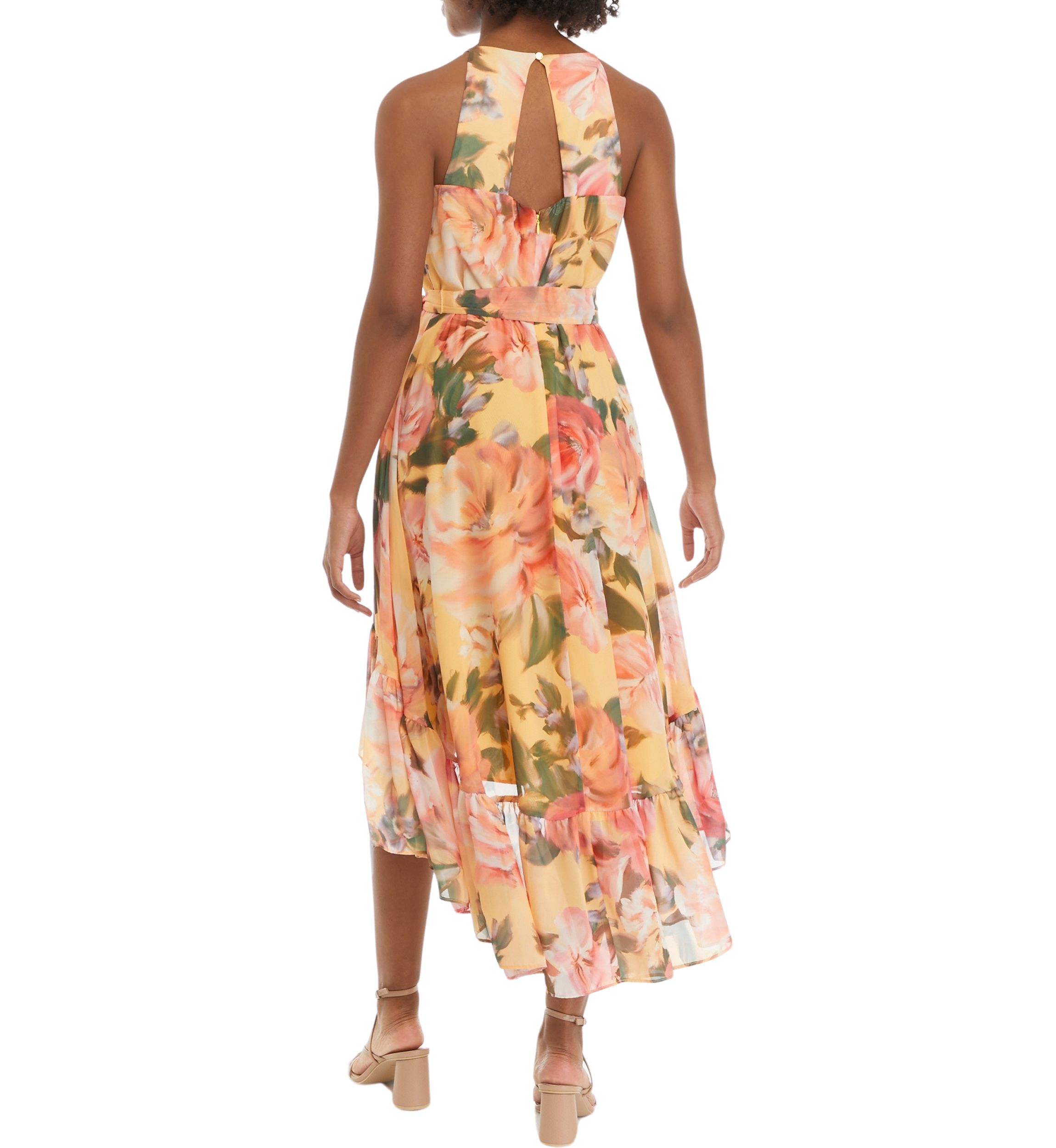 Womens Sleeveless Halter Neck Printed Tie Waist Fit and Flare Dress