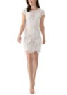 vince camuto lace sheath dress Vince camuto lace sheath dress + FREE SHIPPING