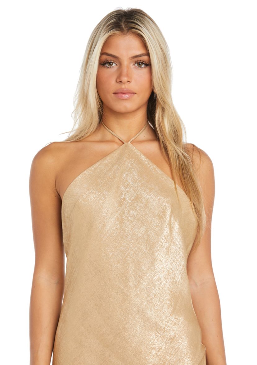 Sleeveless Halter Neck Gown 