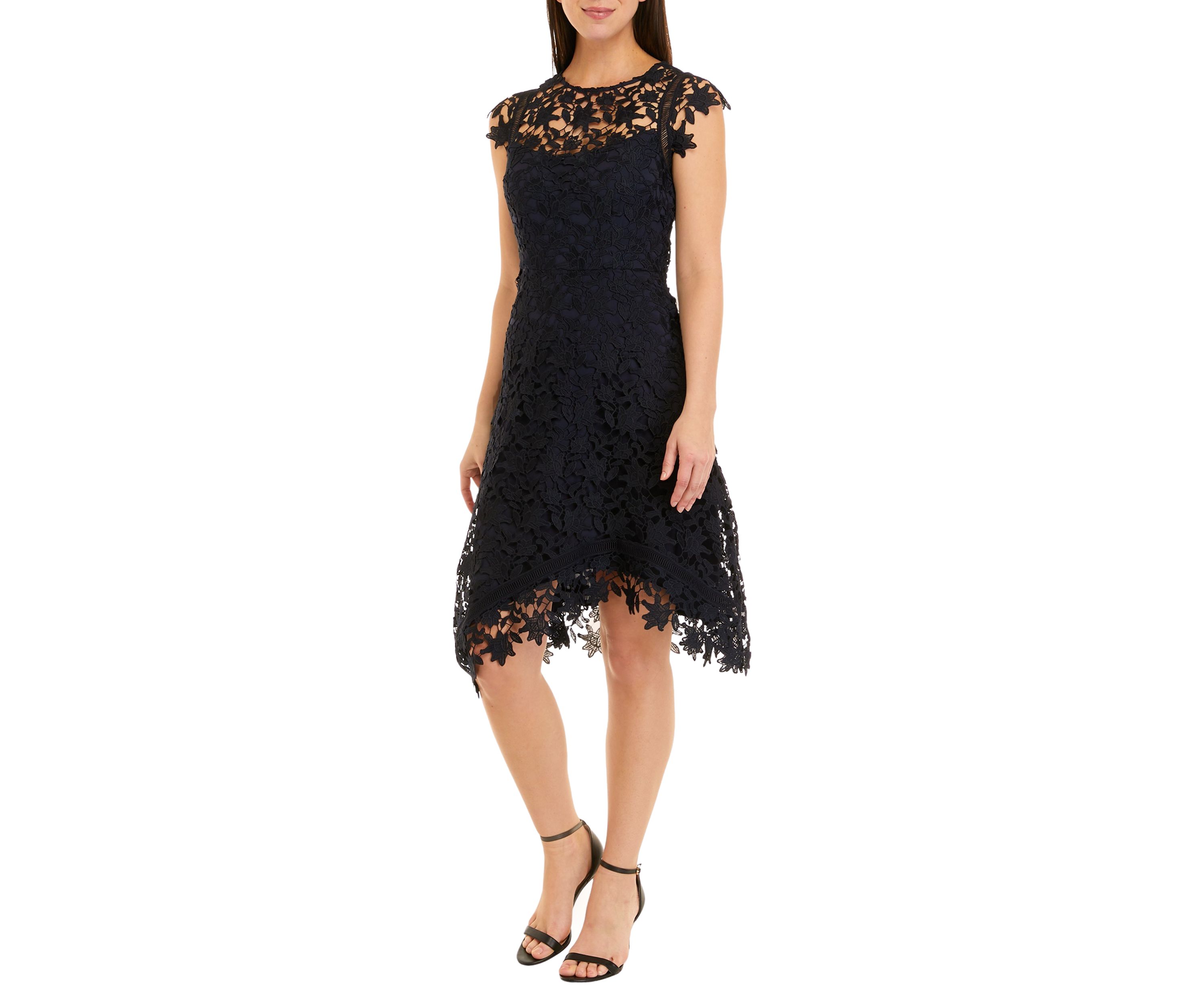 Womens Sleeveless Lace Fit and Flare Dress 