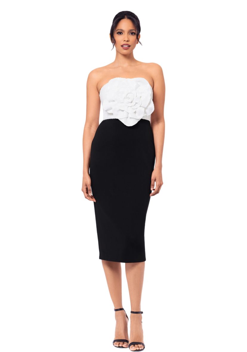 Womens Strapless Two Tone Dress