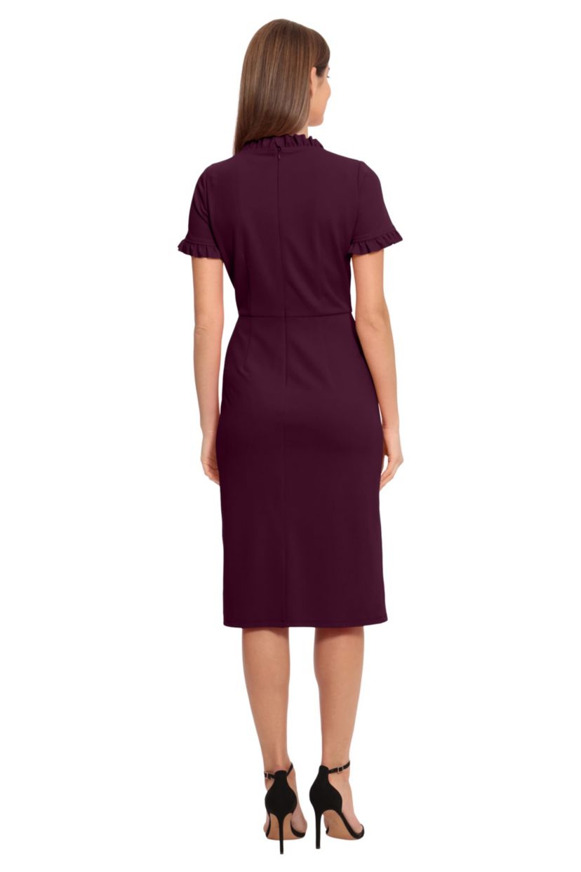Ruffle Neck Short Sleeve Dress