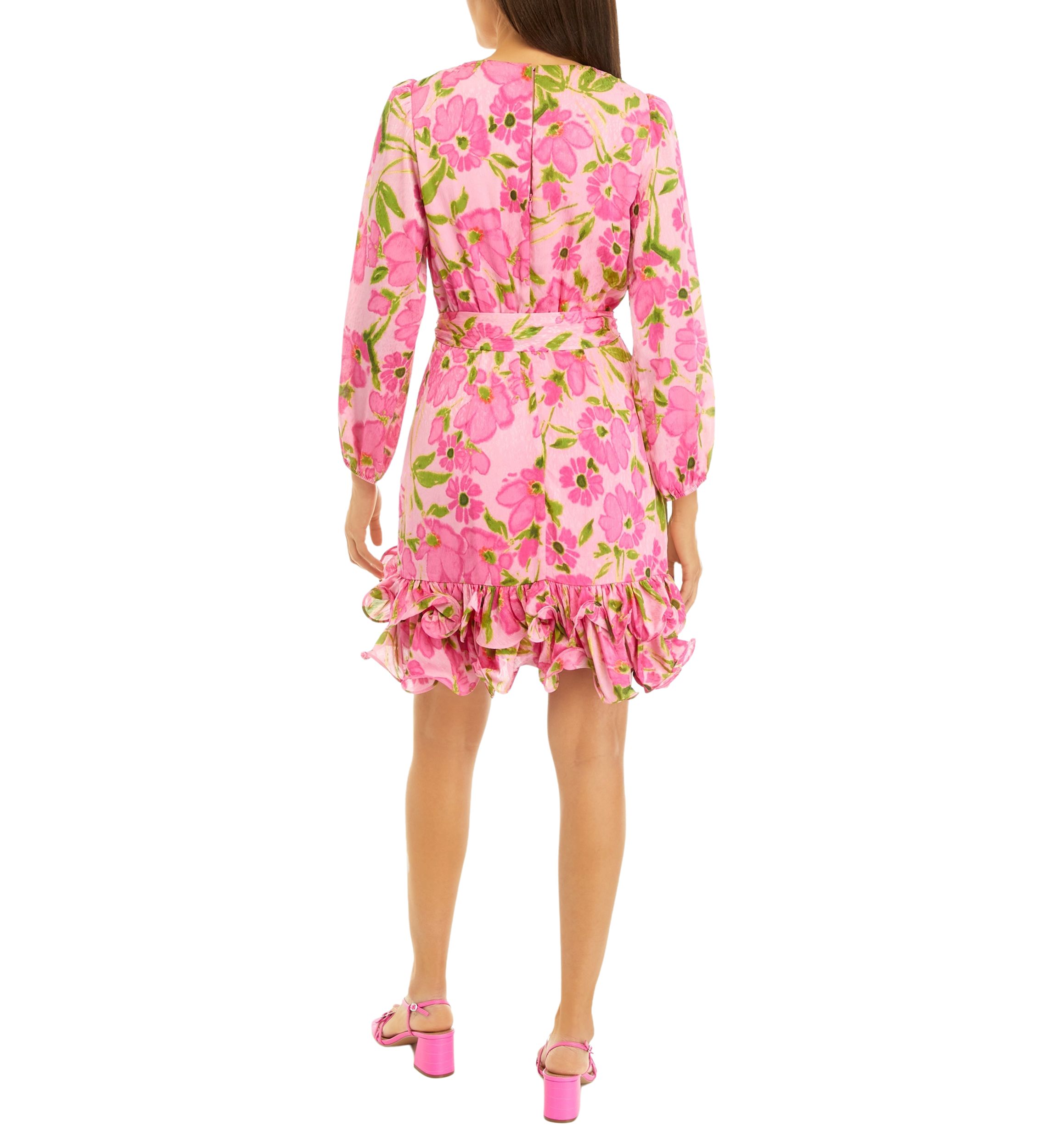 Womens Long Sleeve V-Neck Floral Print Fit and Flare Dress